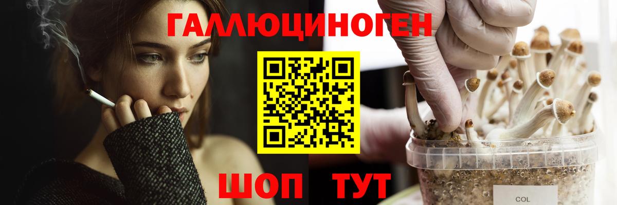 Псилоцибиновые грибы MAGIC MUSHROOMS  Вход с VPN  Донской 